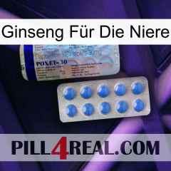 Ginseng Für Die Niere 39